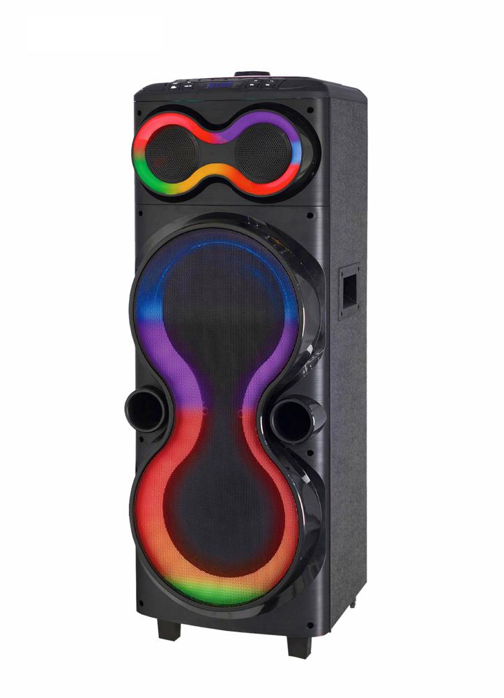 Bocina Sankey x2 10"