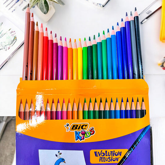 Lápices de Colores Bic Evolution / 24 Unidades / Borrables