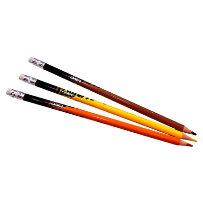 Lápices de Colores Bic Evolution / 24 Unidades / Borrables