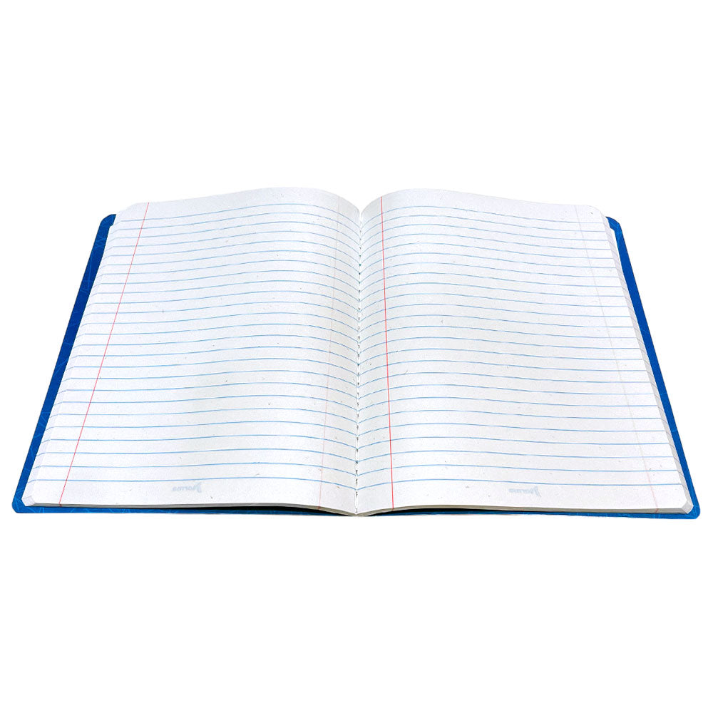 Cuaderno Cosido Norma Peluches  / Raya Ancha / 160 Páginas / Surtido