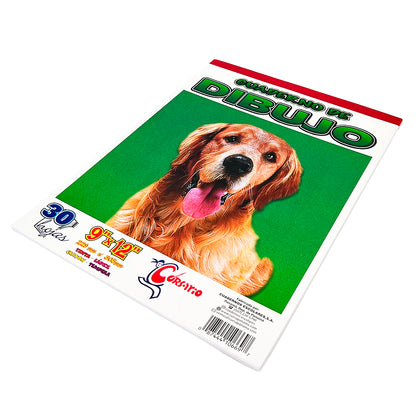 Libreta de Dibujo Corsario de 60 Páginas 9" x 12" - Surtido