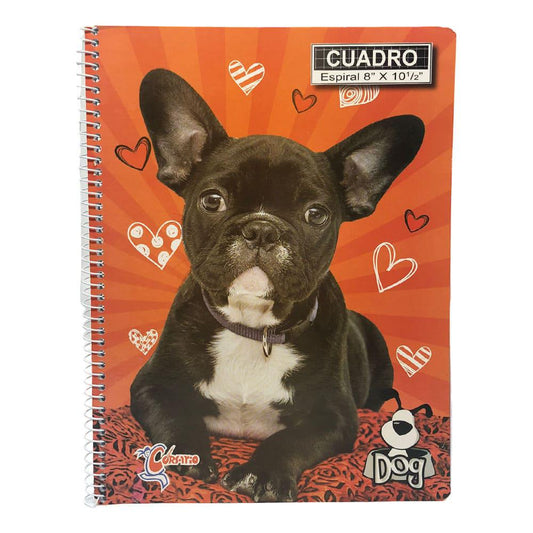 Libreta Con Espiral Corsario de Cuadritos 160 Páginas - Surtido
