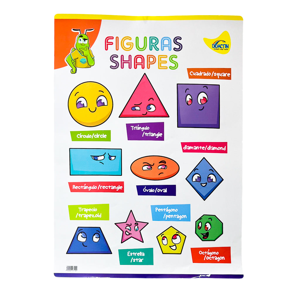 Posters Didactin - Surtido