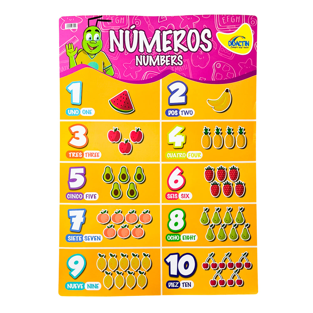 Posters Didactin - Surtido