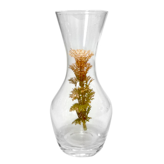 Florero Decorativo Home Elegance de Vidrio / Clear / 6"