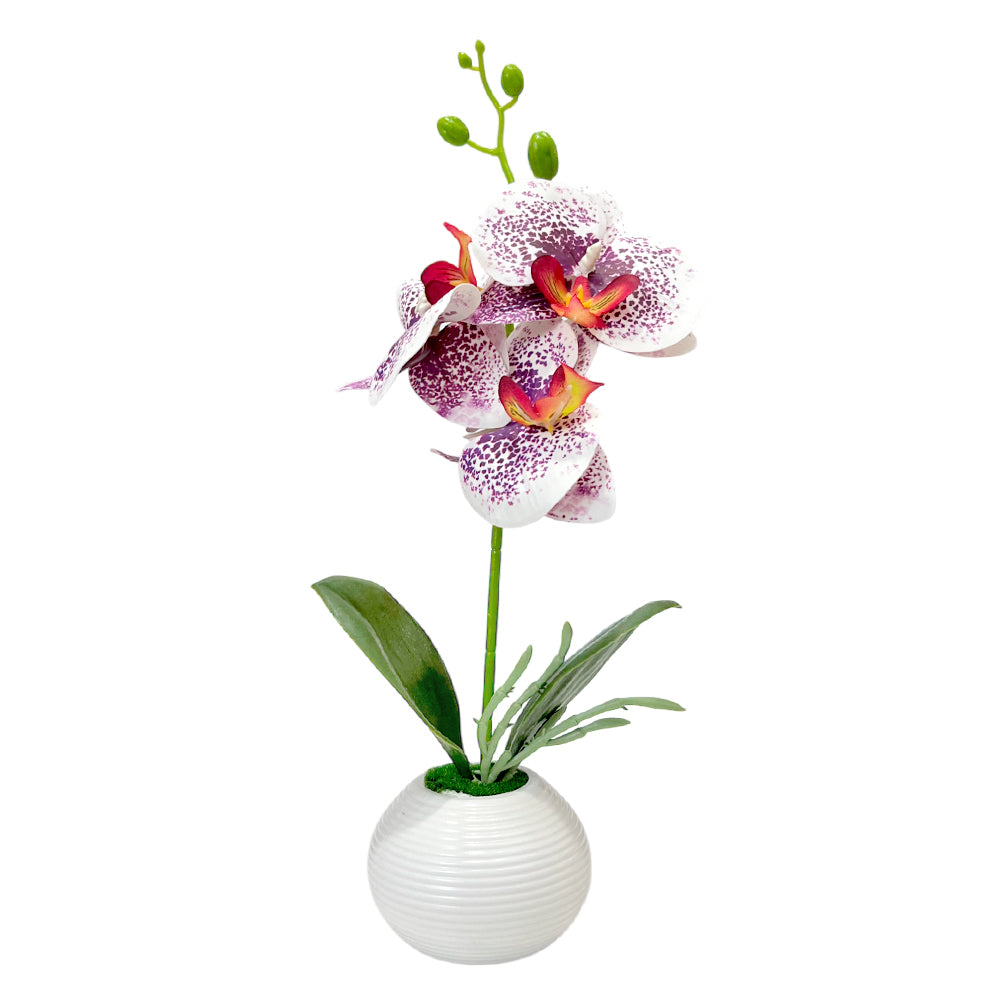 Pote Decorativo Plástico Con Orquideas Home Elegance 2" / Surtidos