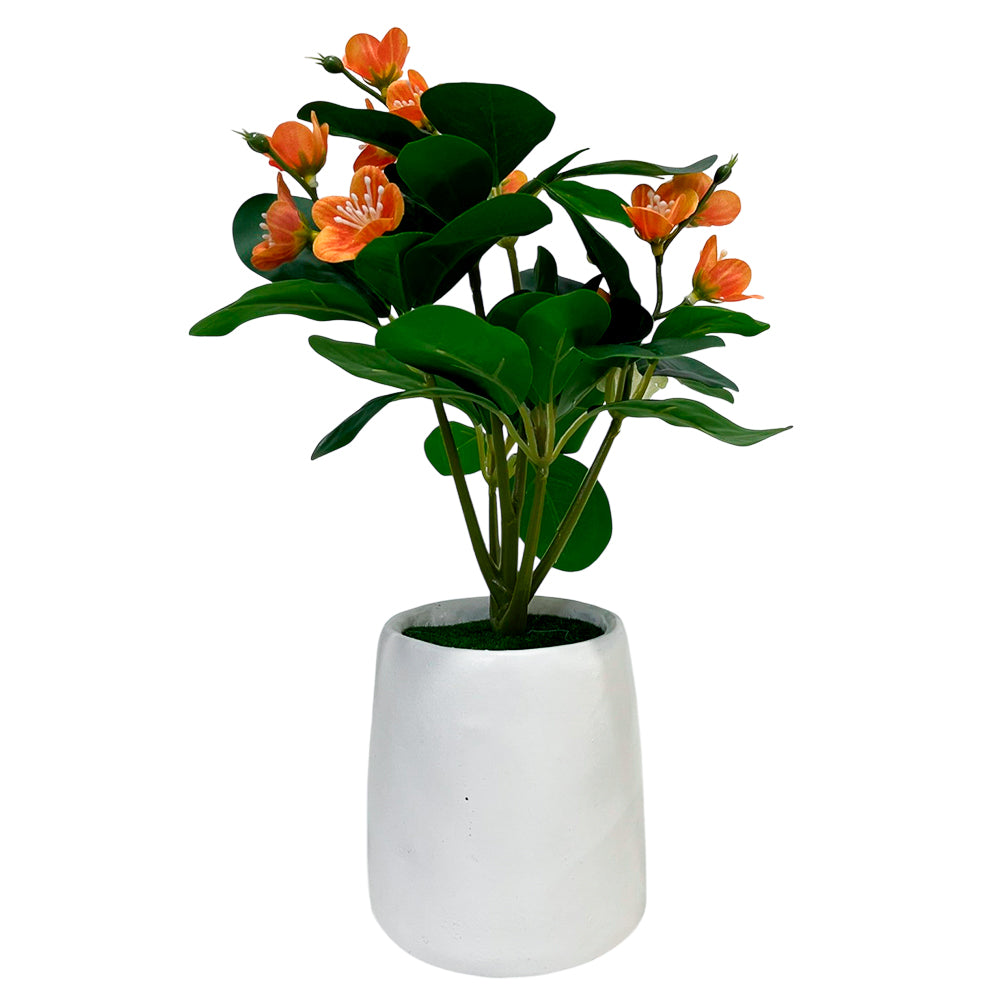 Planta Decorativa Home Elegance - 30 cm - Surtido