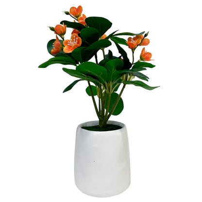 Planta Decorativa Home Elegance - 30 cm - Surtido