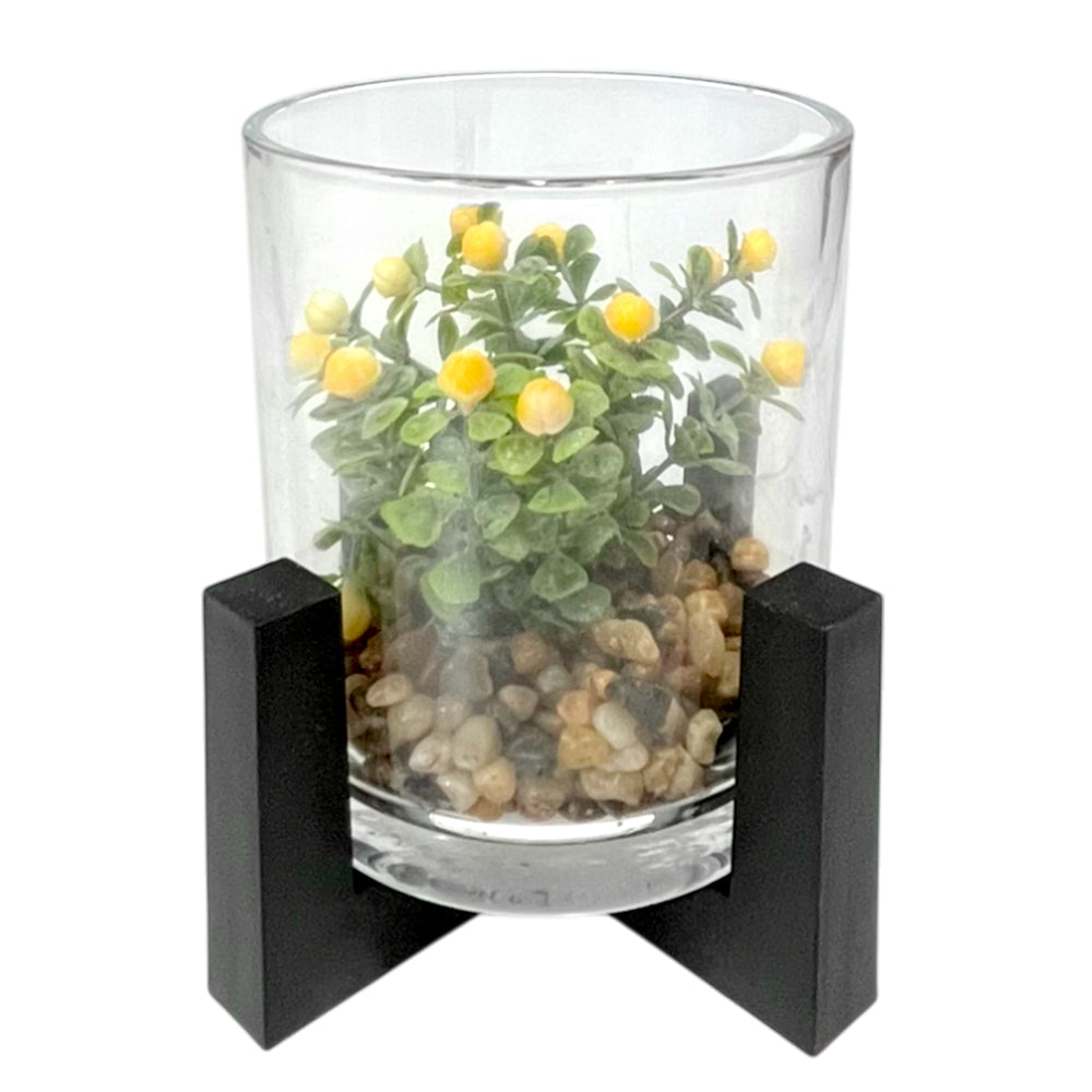 Pote Decorativo de Vidrio Home Elegance 4" / Con Plantita / Surtido
