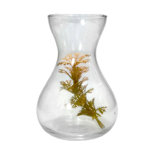 Florero Decorativo Home Elegance de Vidrio / 5.5" x 2.5" / Clear