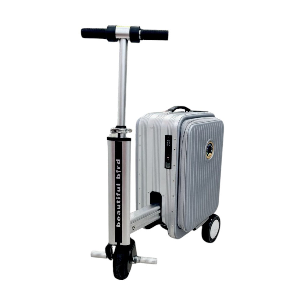 Maleta Scooter Electrónica / Yong Xing / Silver