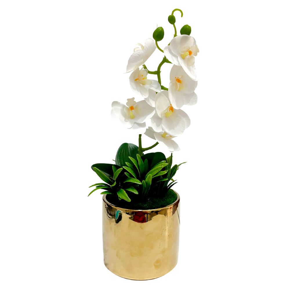 Orquídeas decorativas en pote elegante Home Elegance.