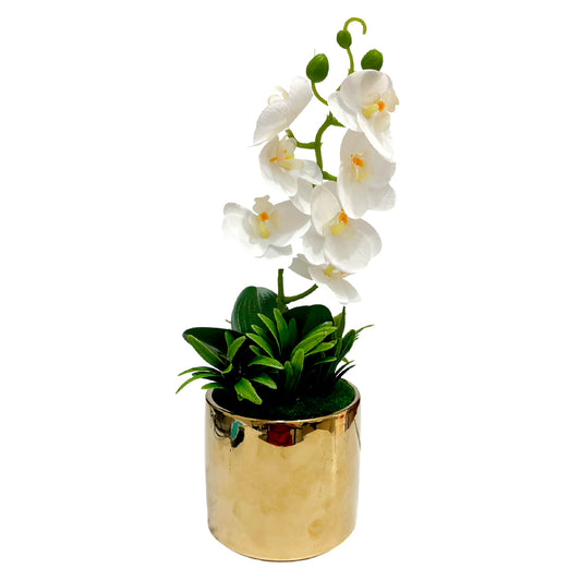 Orquídeas decorativas en pote elegante Home Elegance.