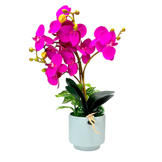 Pote Decorativo con Orquídea / Home Elegance