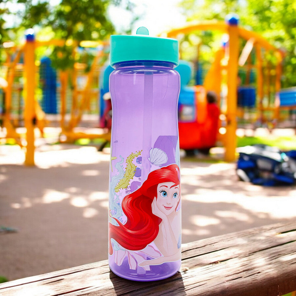 Botella Plástica Ariel de 590 ml / Con Carrizo