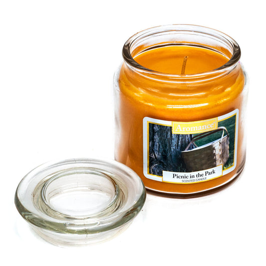 Vela Aromática Botanica Picnic in The Parck 13.75 oz