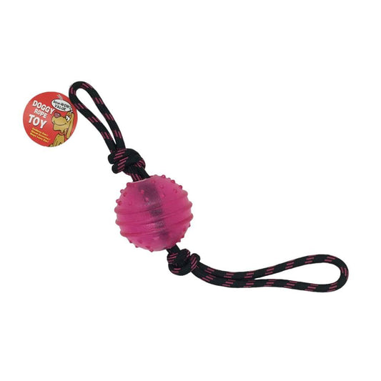 Pelota para Perro Regent Surtido