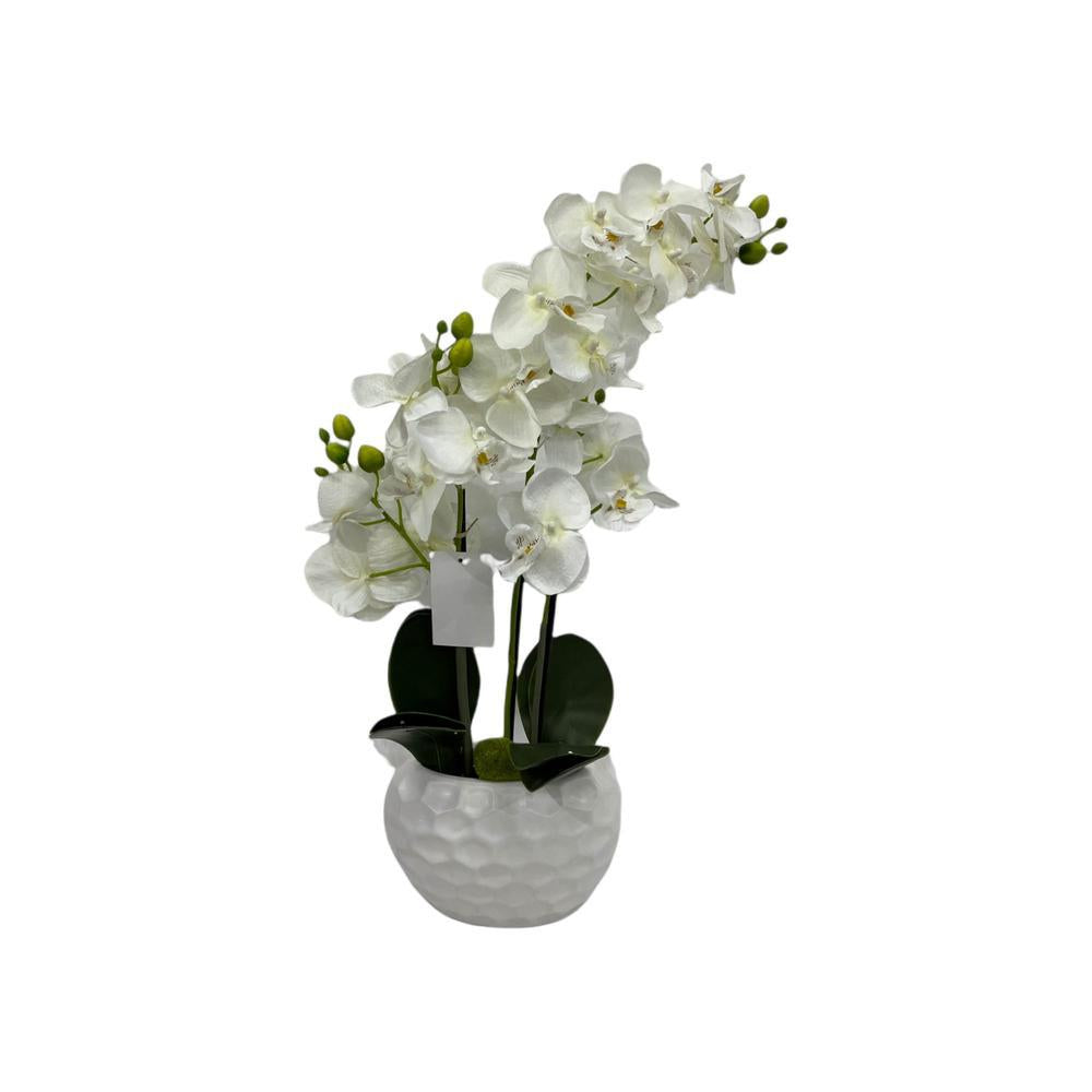 Planta Decorativa Concept Life Orquídea