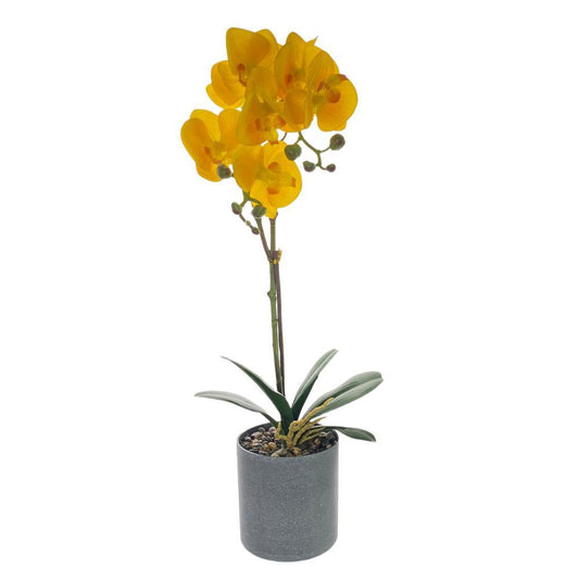 Planta Decorativa Concept Life Orquídea