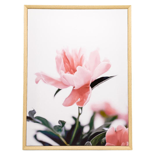 Cuadro Decorativo de Flores Concepts 60 cm x 45 cm x 3 cm