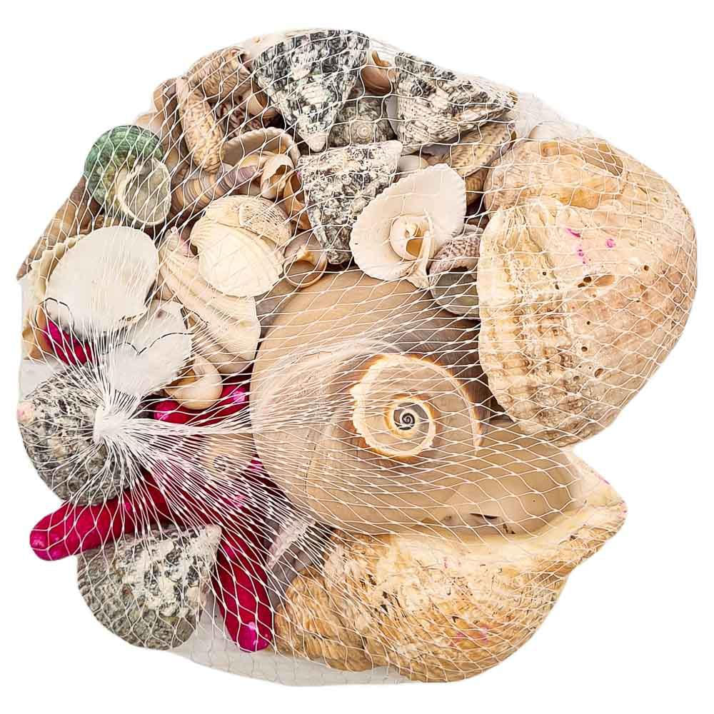 Caracoles Decorativos Home Elegance - Surtido