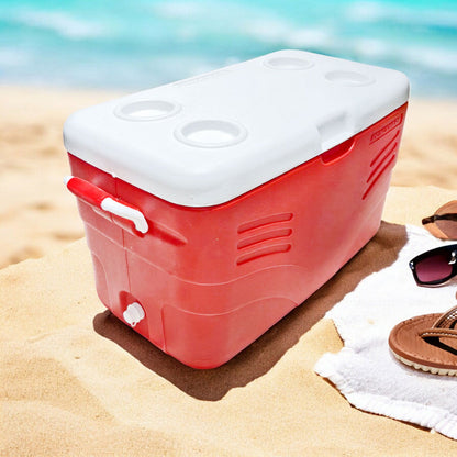 Hielera Plástica Priceware 48 L