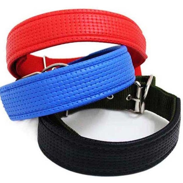 Juego De Collar y Correa Maxcotas Para Perros