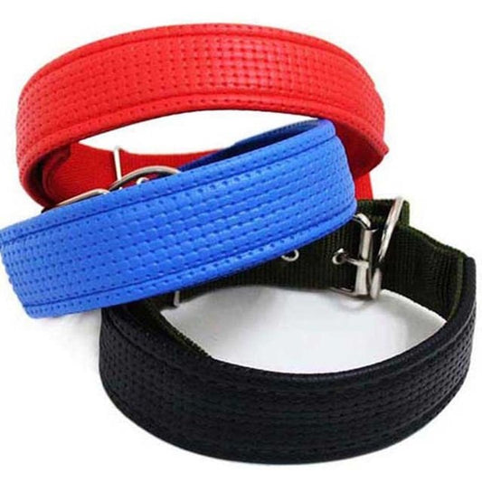 Juego De Collar y Correa Maxcotas Para Perros