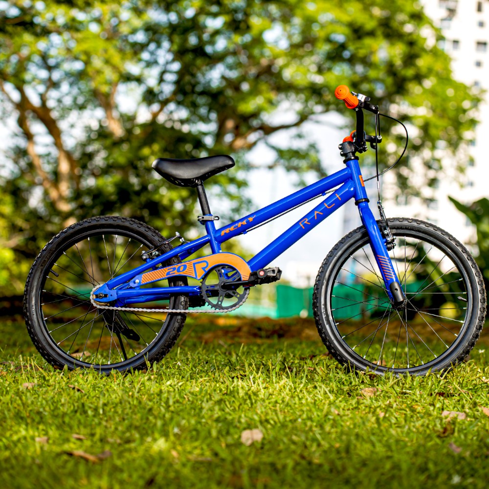 Bicicleta Rali 20" / Rcky / Azul
