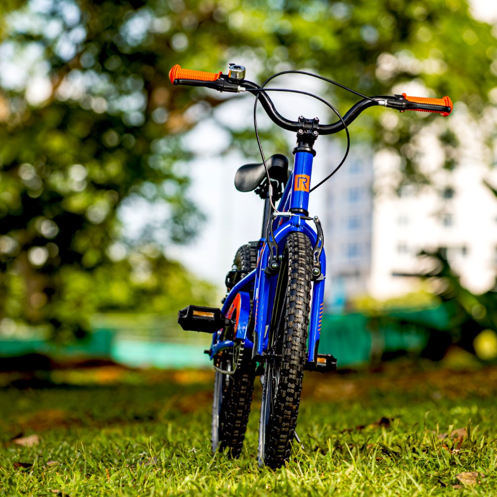 Bicicleta Rali 20" / Rcky / Azul