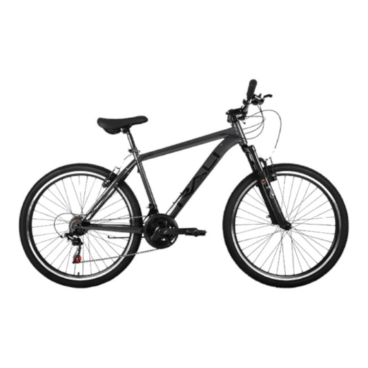 Bicicleta Rali 29" / MTB R1 T-M / Gris