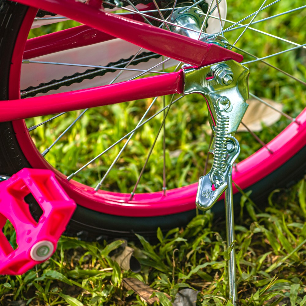 Bicicleta Rali 20" / Bella / Rosa