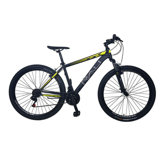 Bicicleta Rali Tierra 29"