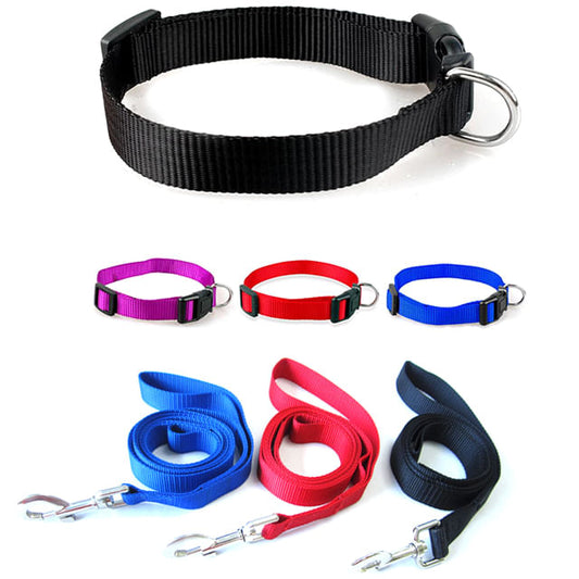 Juego De Collar y Correa Maxcotas Para Perros