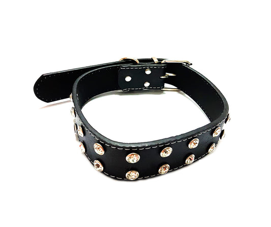 Collar Mascotas Para Perros