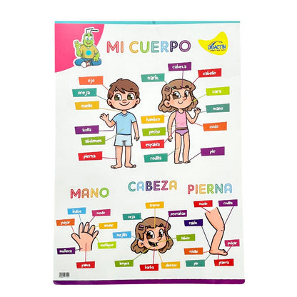 Posters Didactin - Surtido - Didactin - Titan.com.pa - 7402002271144