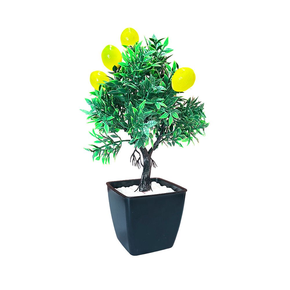 Pote Decorativo 12.5" Gelincik Dekor Con Plantita - Surtido - Gelincik Dekor - Titan.com.pa - 8681333003757