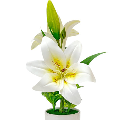 Pote Decorativo Con Orquideas Home Elegance 3" / Surtidos - Home Elegance - Titan.com.pa - 2100000543939