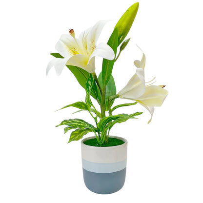 Pote Decorativo Con Orquideas Home Elegance 3" / Surtidos - Home Elegance - Titan.com.pa - 2100000543939