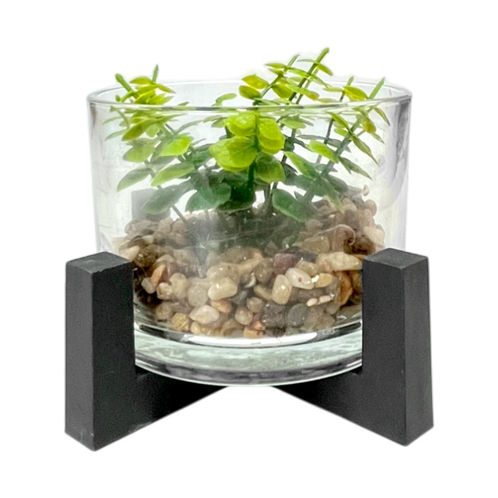 Pote Decorativo de Vidrio Home Elegance 3.1"x4.3" / Con Plantita / Surtido - Home Elegance - Titan.com.pa - 2100000075904