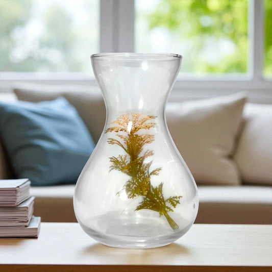 Florero Decorativo Home Elegance de Vidrio / 5.5" x 2.5" / Clear