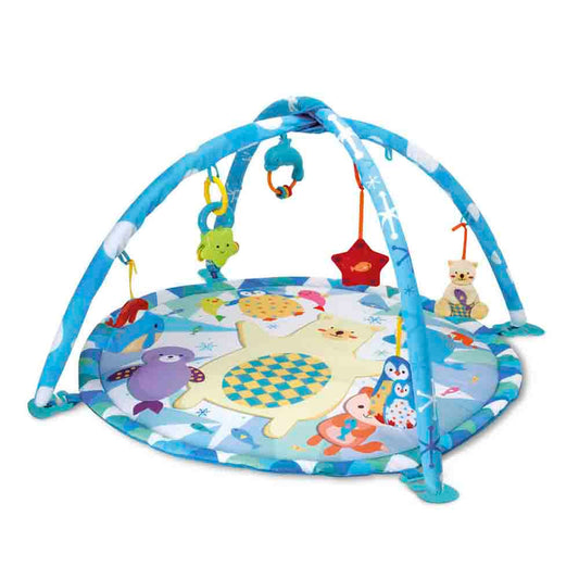 Gimnasio Winfun Fiesta Polar