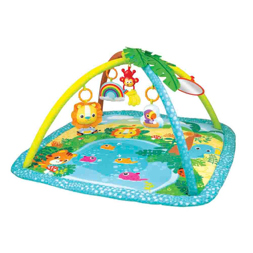 Gimnasio Winfun Actividades de la Selva