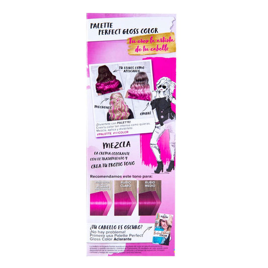 Tinte Palette Artist Perfect Gloss Rosa Dulce 093