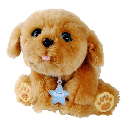 Cachorrito Snuggles My Dream