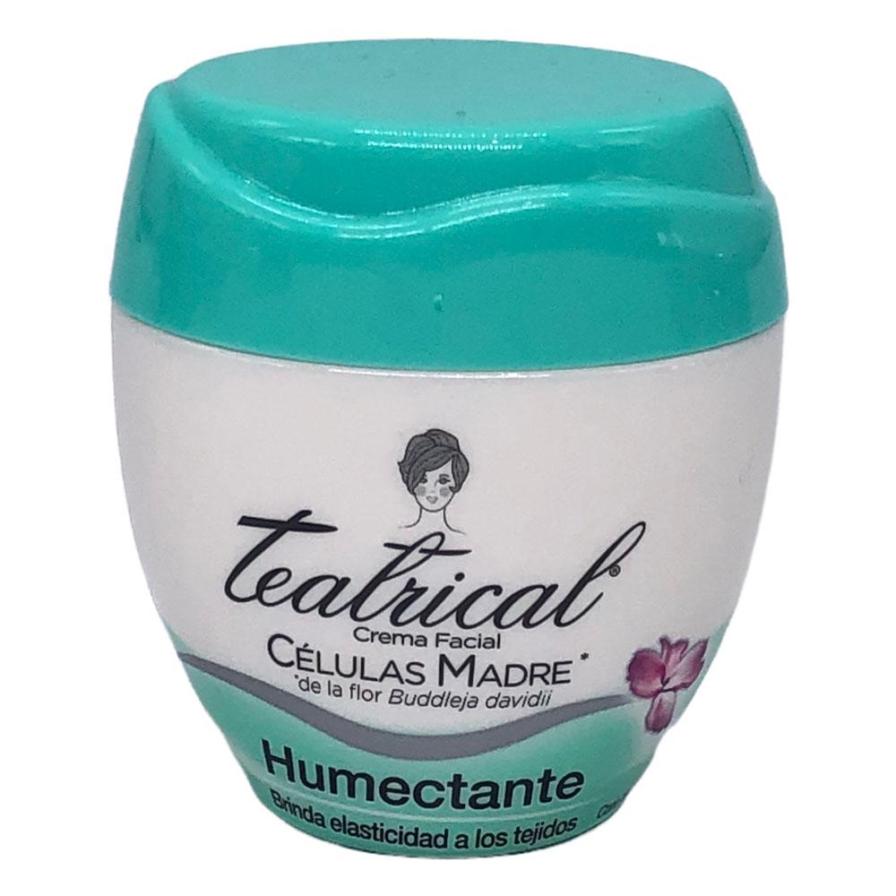 Crema Facial Teatrical Humectante 100 g