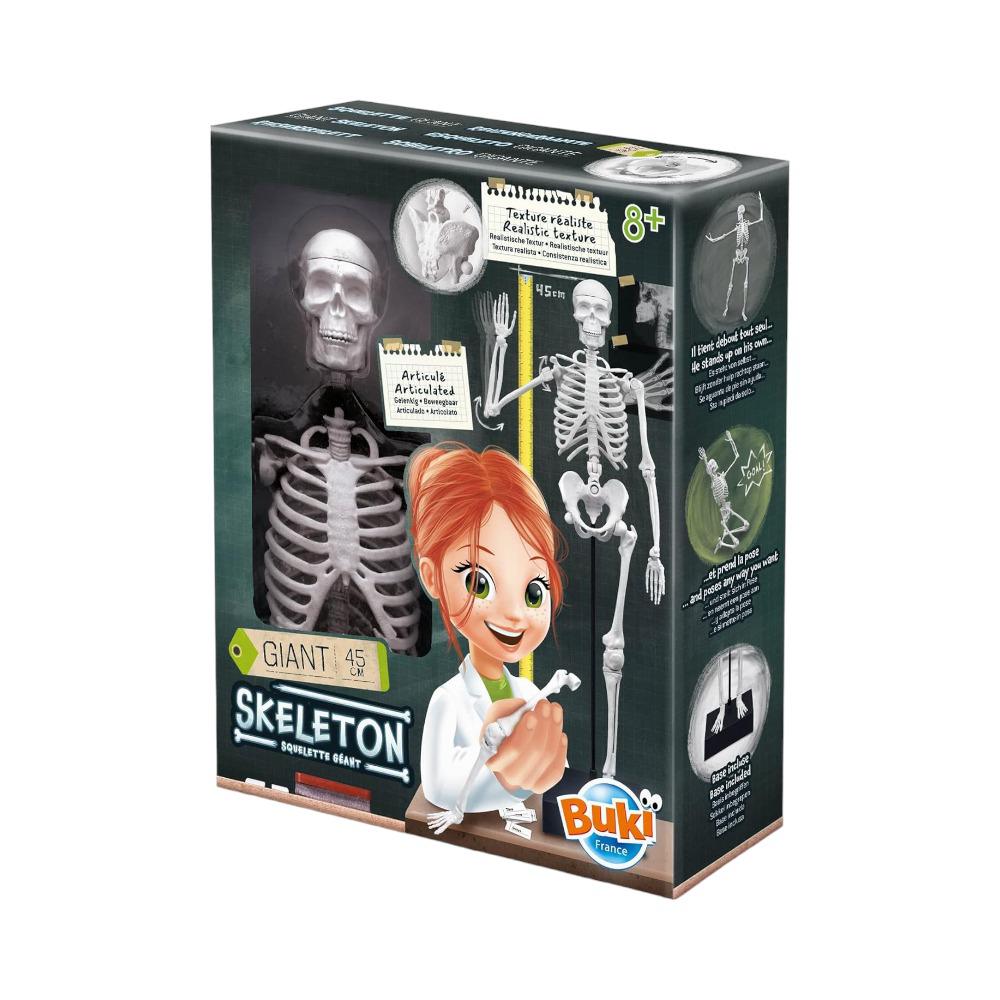 Esqueleto Buki Sciences de 45 Cm