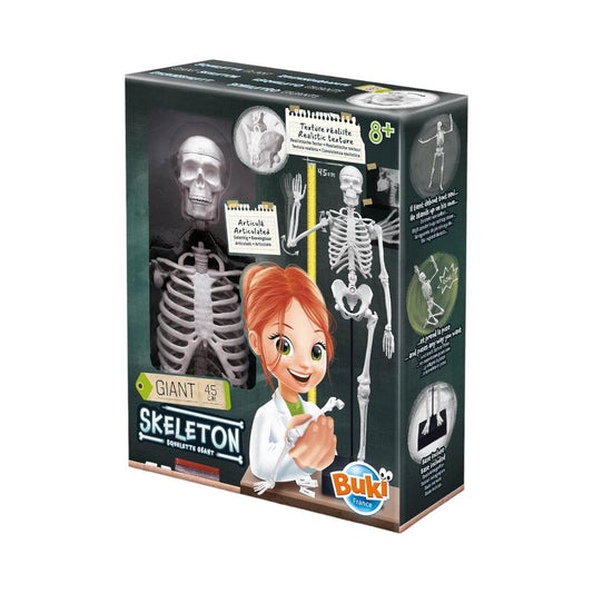 Esqueleto Buki Sciences de 45 Cm