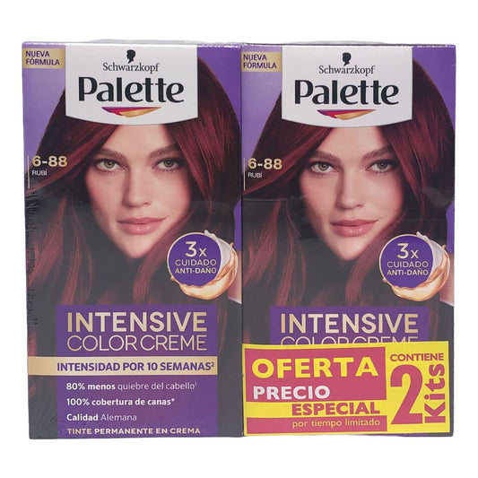 Tinte Duo Palette Rubí 6-88