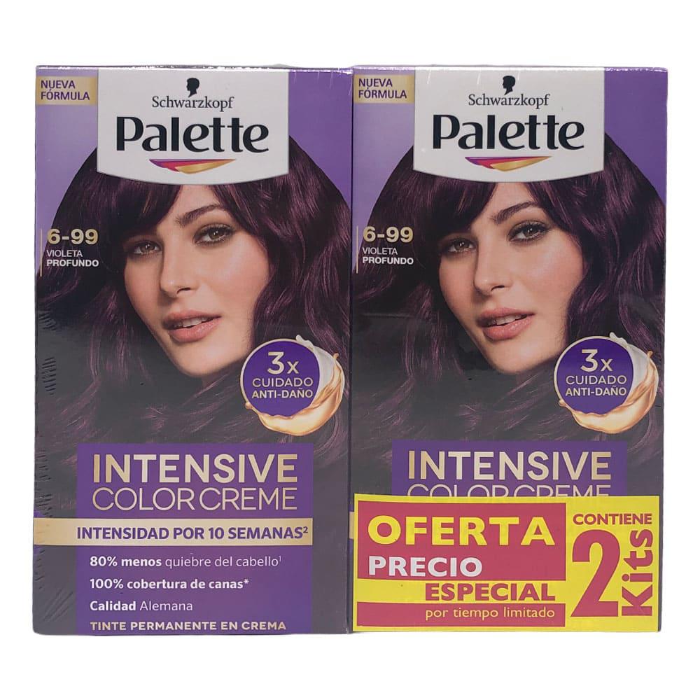 Tinte Duo Palette Violeta Profundo 6-99